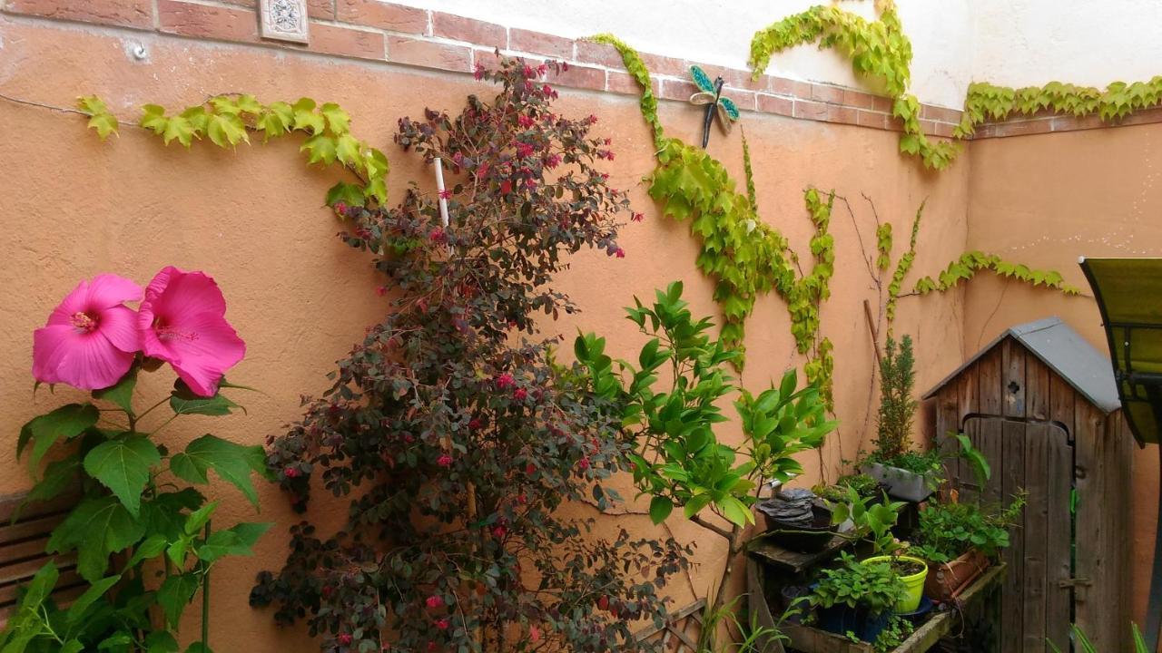 Autan Des Couleurs Bed and Breakfast Albi Exteriör bild